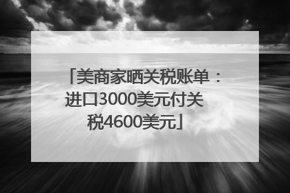 美商家晒关税账单：进口3000美元付关税4600美元