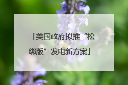 美国政府拟推“松绑版”发电新方案