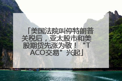 美国法院叫停特朗普关税后，亚太股市和美股期货先涨为敬！“TACO交易”兴起