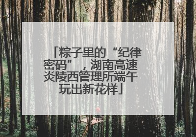 粽子里的“纪律密码”，湖南高速炎陵西管理所端午玩出新花样