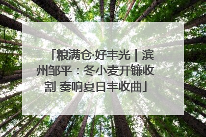 粮满仓·好丰光｜滨州邹平：冬小麦开镰收割 奏响夏日丰收曲