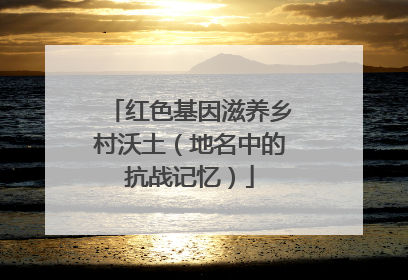 红色基因滋养乡村沃土（地名中的抗战记忆）
