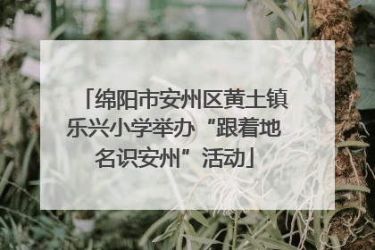 绵阳市安州区黄土镇乐兴小学举办“跟着地名识安州”活动