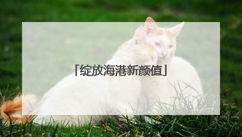 绽放海港新颜值