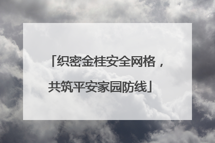 织密金桂安全网格，共筑平安家园防线