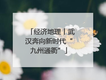 经济地理丨武汉奔向新时代“九州通衢”