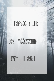 绝美！北京“莫奈睡莲”上线
