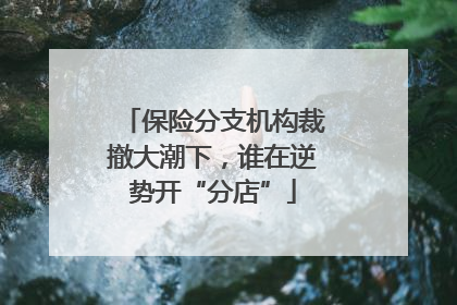 保险分支机构裁撤大潮下，谁在逆势开“分店”