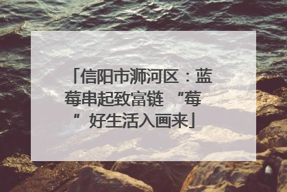 信阳市浉河区：蓝莓串起致富链 “莓”好生活入画来