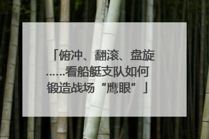 俯冲、翻滚、盘旋……看船艇支队如何锻造战场“鹰眼”