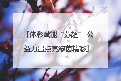 体彩赋能“苏超” 公益力量点亮绿茵精彩