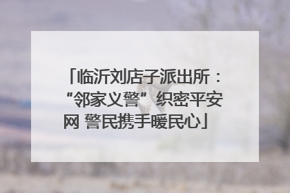 临沂刘店子派出所：“邻家义警”织密平安网 警民携手暖民心