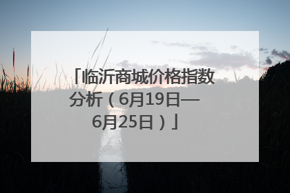 临沂商城价格指数分析（6月19日—6月25日）