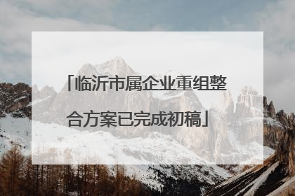 临沂市属企业重组整合方案已完成初稿