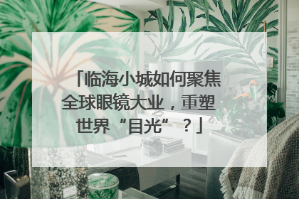 临海小城如何聚焦全球眼镜大业，重塑世界“目光”？