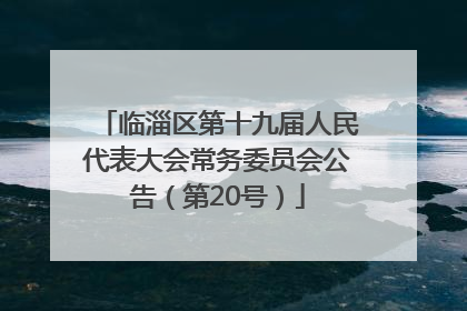 临淄区第十九届人民代表大会常务委员会公告（第20号）