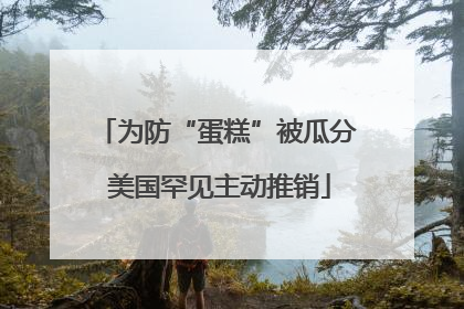 为防“蛋糕”被瓜分 美国罕见主动推销
