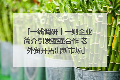 一线调研丨一则企业简介引发强强合作 老外贸开拓出新市场