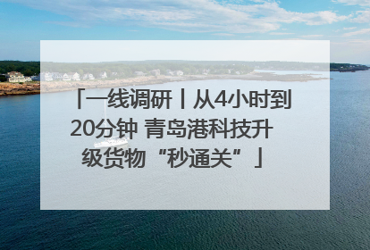 一线调研丨从4小时到20分钟 青岛港科技升级货物“秒通关”