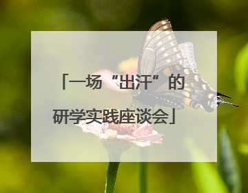 一场“出汗”的研学实践座谈会