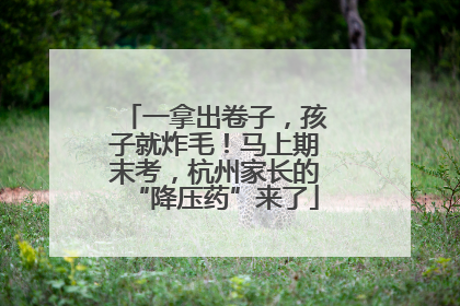 一拿出卷子，孩子就炸毛！马上期末考，杭州家长的“降压药”来了