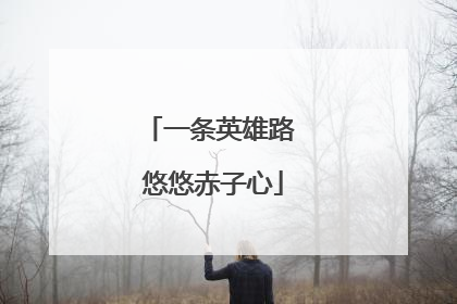 一条英雄路 悠悠赤子心