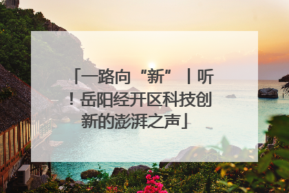 一路向“新”丨听！岳阳经开区科技创新的澎湃之声