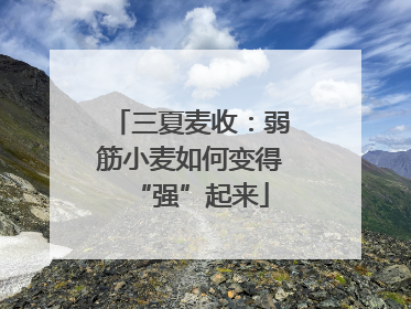 三夏麦收：弱筋小麦如何变得“强”起来