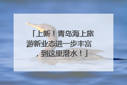 上新！青岛海上旅游新业态进一步丰富，到这里潜水！