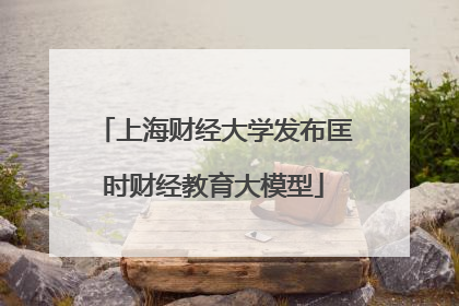 上海财经大学发布匡时财经教育大模型