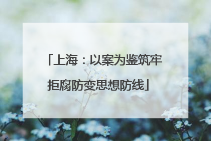 上海：以案为鉴筑牢拒腐防变思想防线