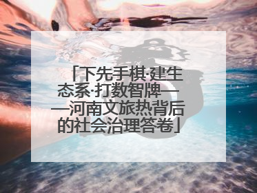 下先手棋·建生态系·打数智牌——河南文旅热背后的社会治理答卷