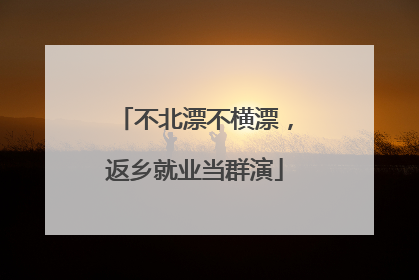 不北漂不横漂，返乡就业当群演