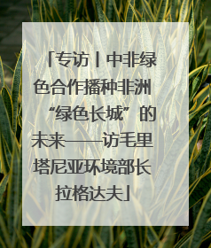 专访丨中非绿色合作播种非洲“绿色长城”的未来——访毛里塔尼亚环境部长拉格达夫