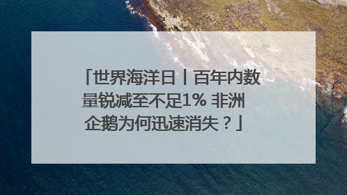 世界海洋日丨百年内数量锐减至不足1% 非洲企鹅为何迅速消失？