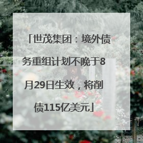 世茂集团：境外债务重组计划不晚于8月29日生效，将削债115亿美元