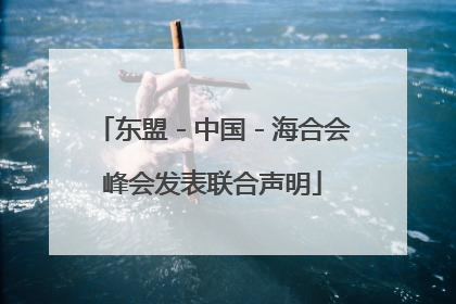 东盟－中国－海合会峰会发表联合声明