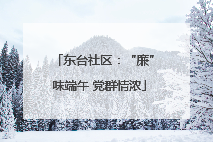 东台社区：“廉”味端午 党群情浓