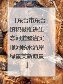 东台市东台镇积极推进生态河道整治实现河畅水清岸绿景美新愿景