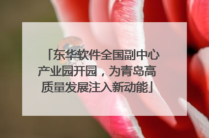 东华软件全国副中心产业园开园，为青岛高质量发展注入新动能