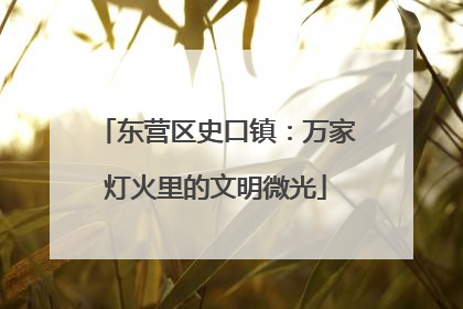东营区史口镇：万家灯火里的文明微光