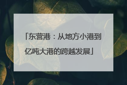 东营港：从地方小港到亿吨大港的跨越发展