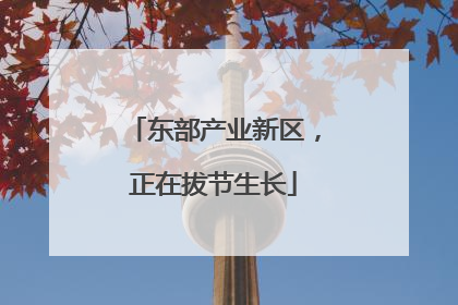 东部产业新区，正在拔节生长
