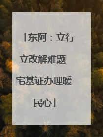 东阿：立行立改解难题 宅基证办理暖民心
