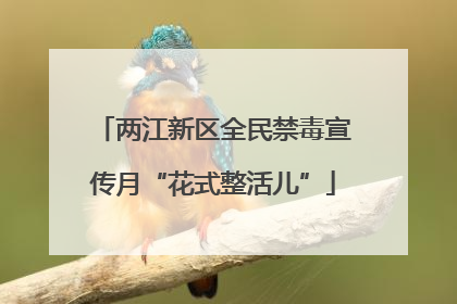 两江新区全民禁毒宣传月“花式整活儿”