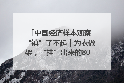 中国经济样本观察·“镇”了不起｜为衣做架，“挂”出来的80亿元“衣架产业”