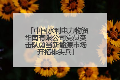 中国水利电力物资华南有限公司党员突击队勇当新能源市场开拓排头兵