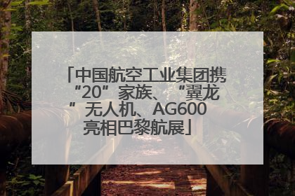 中国航空工业集团携“20”家族、“翼龙”无人机、AG600亮相巴黎航展