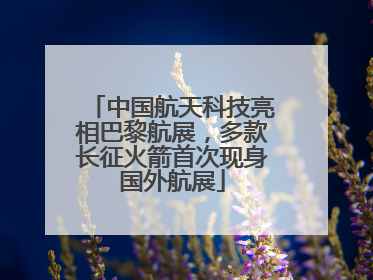 中国航天科技亮相巴黎航展，多款长征火箭首次现身国外航展