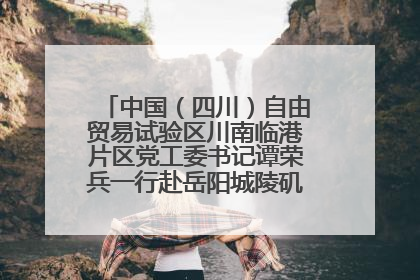 中国（四川）自由贸易试验区川南临港片区党工委书记谭荣兵一行赴岳阳城陵矶综保区考察